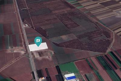 Teren 48300 mp, Daia, Giurgiu - 2