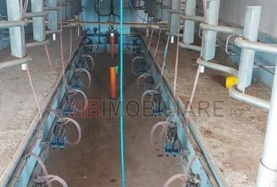 Ferma zootehnică funcțională, populată cu peste 200 capete bovine, aproape d - 6