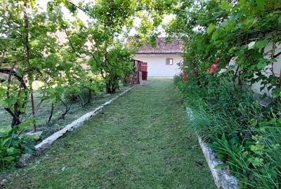 Casă cu 3 camere în Vărgata - 3