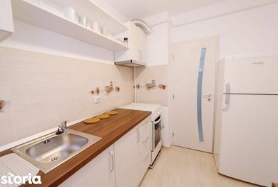 Apartament cu 2 camere în Podu Roș - 4