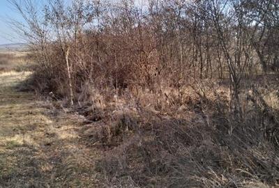 Vand teren in satul Gheorghieni 1400 mp, strada asfaltata - 1