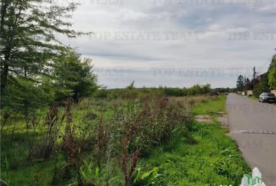 Teren de 20000 mp, în Corbeanca - 3