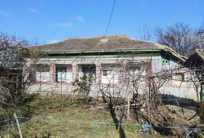 Vand casa 40 km de Bucuresti - 8