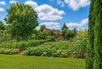 Teren Construcții intravilan de 1409 mp, în Exterior Est - 3