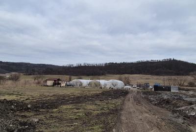 Teren Construcții extravilan de 1.7000000476837 mp, în Calea Voinicenilor - 4