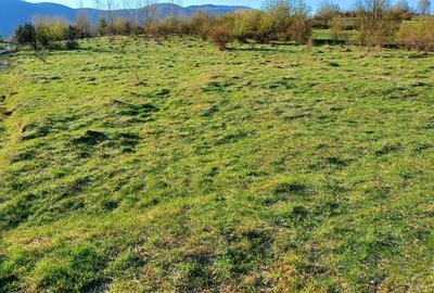 Spațiu comercial, în Ludoș - 1