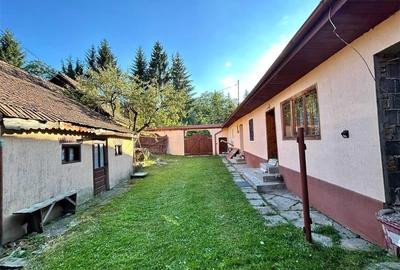 Resedinta traditionala saseasca restaurata, situata in inima localitatii - FILM! - 45