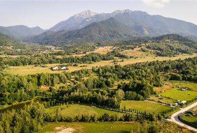FILM! Oaza paradisiaca cu lac, vedere catre Bucegi, Glajerie/ Rasnov, pretabil C - 16