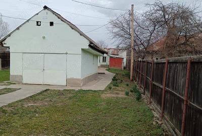 Casă cu 3 camere cu Teren 3075 Mp în Balș - 9