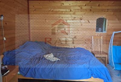 Casă cu 6 camere cu Teren 2700 Mp în Bradu - 13
