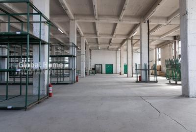 Spatiu comerical-birouri-productie-showroom | 1000 MP - 3000 MP | APACA-AFI Mall - 12