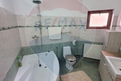 Apartament cu 5 camere de inchiriat in zona Vasile Aaron - 7
