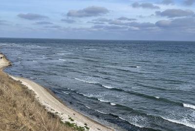 Teren Privilegiat pe Litoral: 120m Deschidere Directă la Mare în 23 August Teren Privilegiat pe Litoral: 120m Deschidere Directă la Mare în 23 August - 6