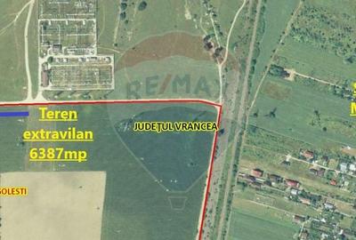 Teren 6,387mp Golesti / Drumul DC147 - 1