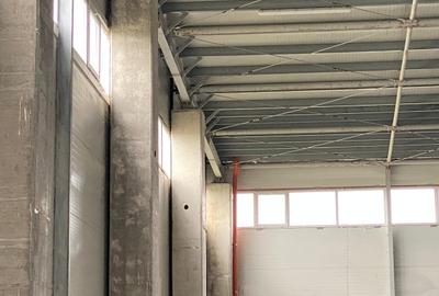 EXCLUSIVITATE: Inchiriem HALA  industrial  Tetarom Jucu incepand cu 1900 Eur - 4