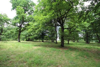 Spațiu comercial, în Poiana Brașov - 2