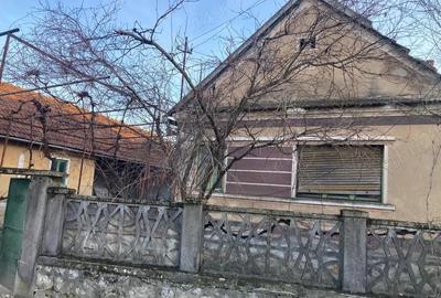 Casă cu Teren 3646 Mp în Aștileu - 4