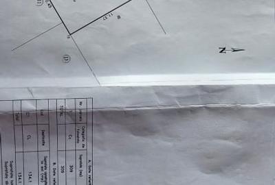 Casă individuală cu 4 camere cu Canalizare în Bucureștii Noi - 19