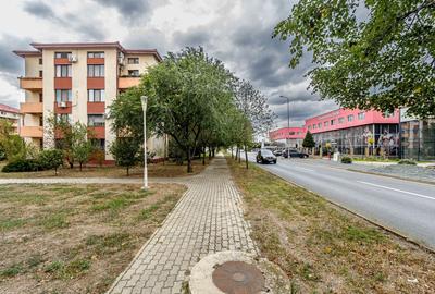 Apartament cu 2 camere semidecomandat, mobilat în Micălaca - 6