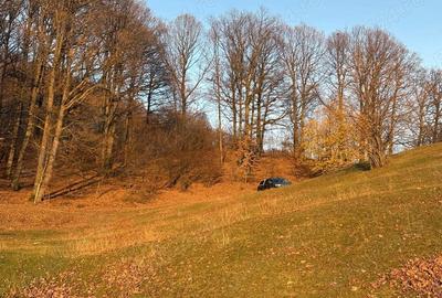 Teren de vanzare Nistoresti-Breaza 1100 mp, zona frumoasa langa padure, ideal pentru cabana la munte - 3