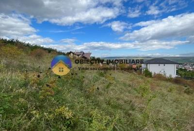Teren Piatra Neamt zona Fermelor - 4