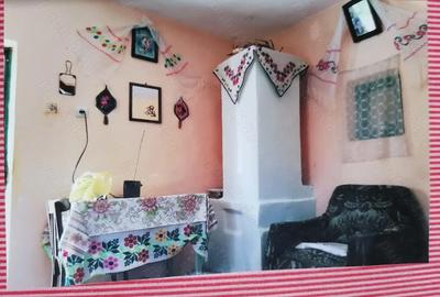 Casă cu 2 camere în Câmpu Mare - 2