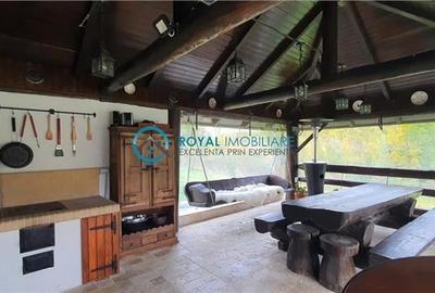 Royal Imobiliare -vanzare vila/ casa de vacanta zona CAMPINA - 20