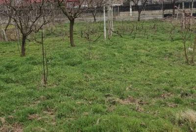 Teren de 800 mp, în Siminoc - 2