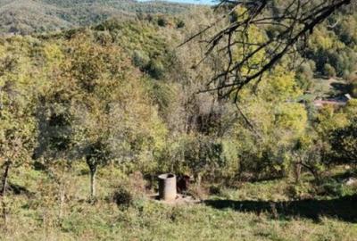 Teren cu priveli?te superba , livada ?i poten?ial casu? - 13