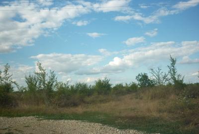 Teren Construcții intravilan de 5000 mp, în Periș - 3