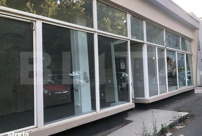 Spațiu comercial, de 265 mp, în Palas - 3