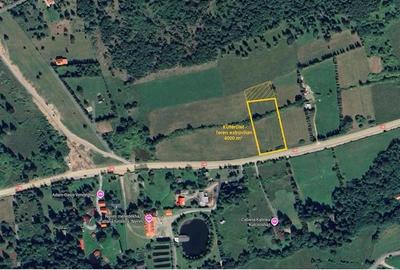 Teren extravilan in Borzont, langa DN13B - 7