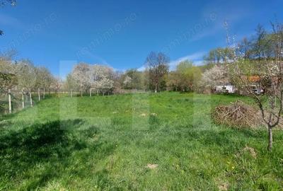 Casă cu 2 camere cu Teren 3100 Mp în Lisnău - 2