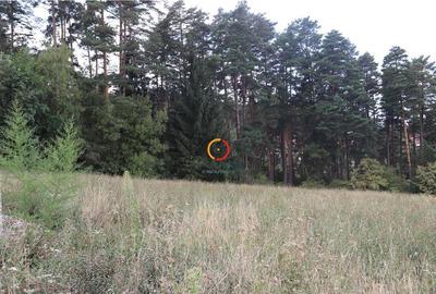 Teren intravilan cu PUZ si PUD 2 loturi - 1