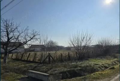 Vand teren intravilan Jebel 5 parcele, intre 500-750mp bucata - 4