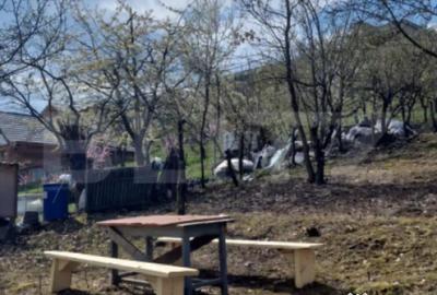 Teren de 2500 mp, în Viișoara - 1