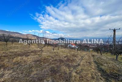 Teren în Călugareni - 3