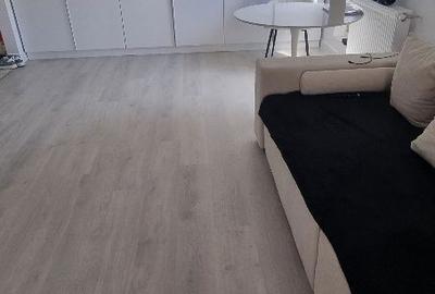 Apartament cu 2 camere decomandat în Roșu - 7