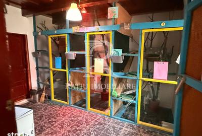 Casă cu 5 camere cu Teren 2497 Mp în Cefa - 5