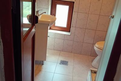 Garsonieră decomandată în Chitila - 13