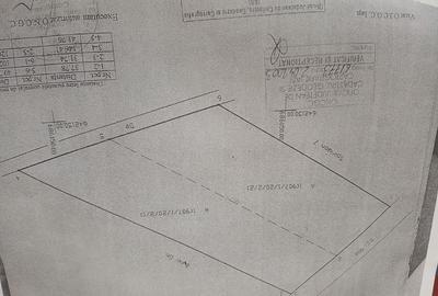 Teren Construcții extravilan de 1500 mp, în Rediu - 3