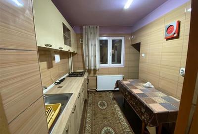 Inchiriere apartament 2 camere Teiul Doamnei - 3