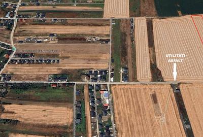 Teren agricol intravilan de 12500 mp, în Dragomirești-Vale - 1