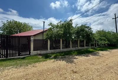 Casă cu 3 camere cu Teren 4000 Mp în Letca Nouă - 4