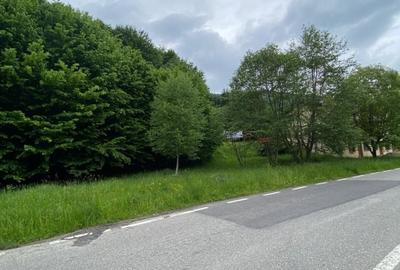 Teren intravilan de 2750 mp, în Brebina - 6