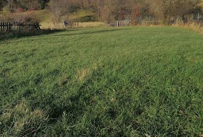 Teren de 3200 mp, în Sadova - 10