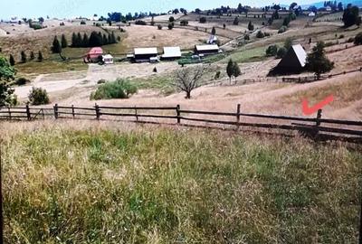 Teren de 5630 mp, în Măguri-Răcătău - 1