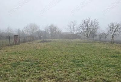 Casă în Dârlos - 2