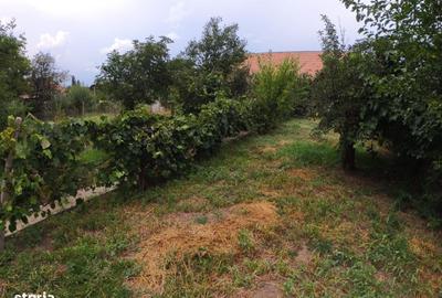 Casă cu 3 camere în Central - 6