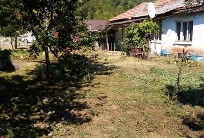 Casa de vanzare jibou - 3